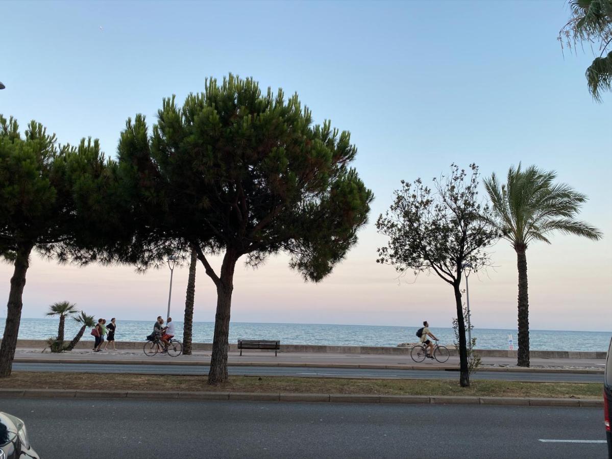 Riviera 50 m de la mer Cagnes-sur-Mer Eksteriør bilde